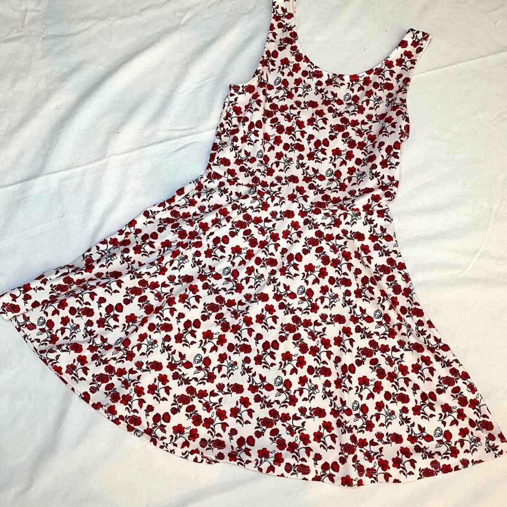 H&M Divided Skater Dress